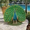 Design Toscano Peacock Plumage Garden Statue - Multicolored