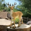 Design Toscano Woodland Buck Deer Statue