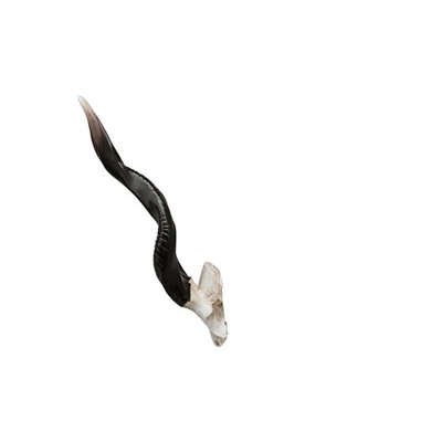 Design Toscano Kudu African Wall Trophy - Image 5