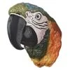 Design Toscano Paradise Parrot Head Wall Sculpture