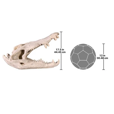 Design Toscano Crocodile Skull Sculptural Artifact - Image 5