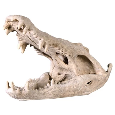 Design Toscano Crocodile Skull Sculptural Artifact - Image 2