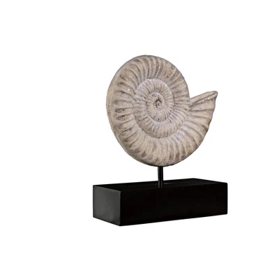 Design Toscano Ammonite Fossil Sculpture On Museum Mount - Image 3
