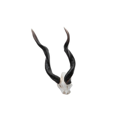 Design Toscano Kudu African Wall Trophy - Image 4