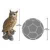 Design Toscano Perching Forest Owl Statue