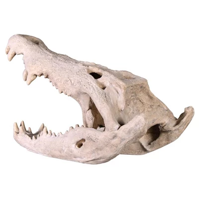 Design Toscano Crocodile Skull Sculptural Artifact - Image 3