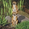 Design Toscano Meerkat Generations Garden Statue - Multicolored