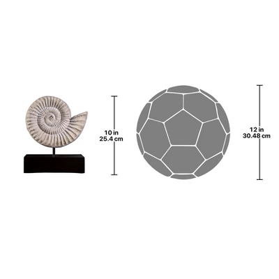 Design Toscano Ammonite Fossil Sculpture On Museum Mount - Image 5