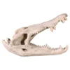 Design Toscano Crocodile Skull Sculptural Artifact