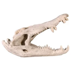 Design Toscano Crocodile Skull Sculptural Artifact