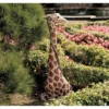 Design Toscano Gigi The Garden Giraffe Statue