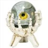 Design Toscano All-Seeing Eye Of The Skeleton Water Globe Statue